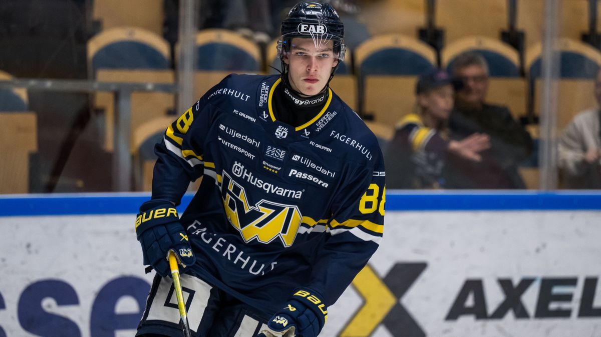 Na půl roku sekl s hokejem, pak se schoval ve Švédsku. Talentovaného beka už poznává i Česko